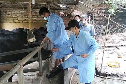 Phát huy hiệu quả mạng lưới thú y cơ sở