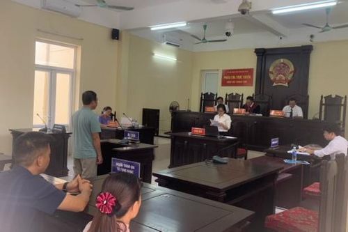 Vườn Quốc gia Ba Bể 'rỉ máu', một bị cáo lĩnh án tù