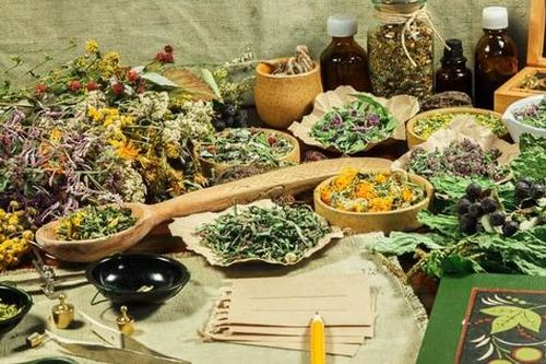 Tổng sản lượng dược liệu sử dụng trong y tế của Việt Nam đạt khoảng 100.000 tấn/năm
