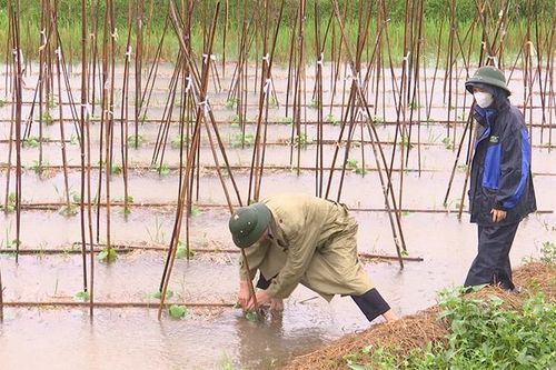 Hà Nam khẩn trương khắc phục hậu quả do mưa to gây ngập úng