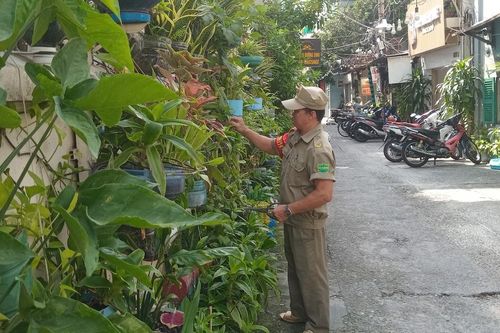 Xanh hóa khu phố