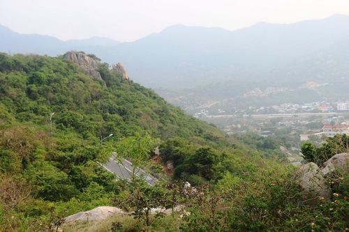 Tỉnh Ninh Thuận nói gì về việc chuyển hơn 11ha rừng làm khu nghỉ dưỡng cao cấp
