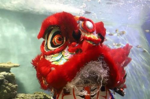 Đeo bình dưỡng khí múa lân dưới 'thủy cung' ở Nha Trang