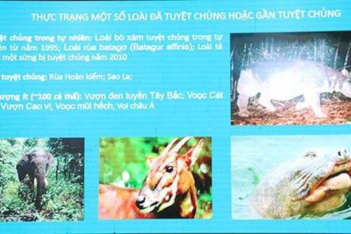 Tăng cường năng lực báo chí khai thác đề tài buôn bán động vật hoang dã trái pháp luật