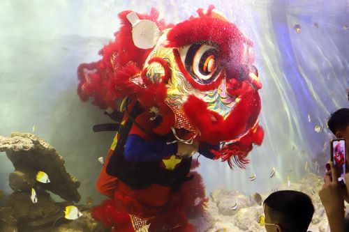Đeo bình dưỡng khí, quấn chì vào bụng múa lân dưới nước ở Nha Trang