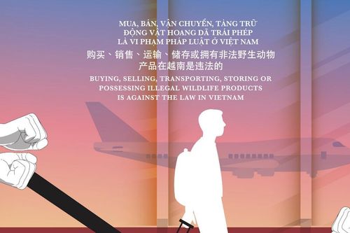 Phổ biến kiến thức pháp luật giảm nhu cầu tiêu thụ, buôn bán động vật hoang dã