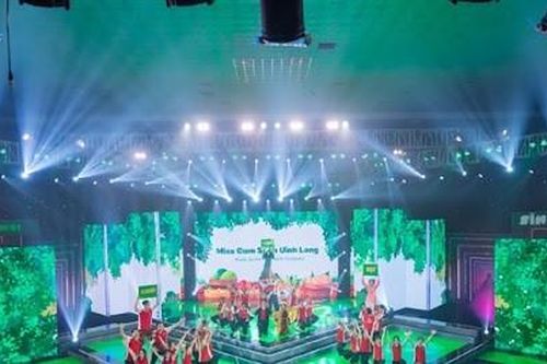 'Sinh viên thế hệ mới': Không có dự án nào được chọn ở bảng C