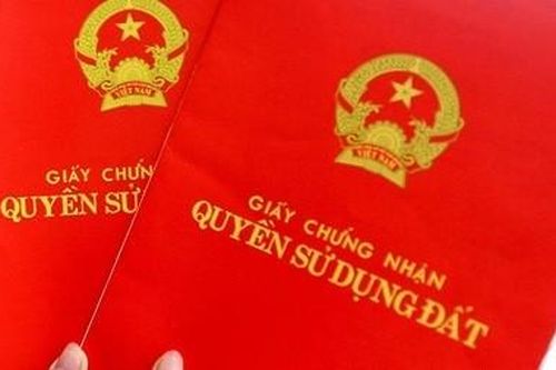 Khởi tố nguyên chủ tịch phường ở Đồng Nai liên quan vụ chiếm đoạt 53 thửa đất