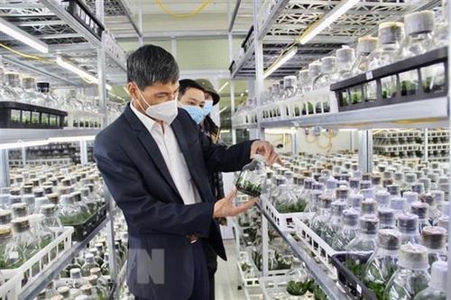 'Gỡ nút thắt' cho doanh nghiệp khoa học công nghệ phát triển