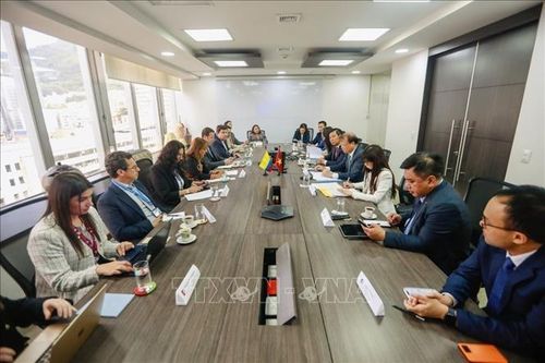 Thúc đẩy hợp tác kinh tế, thương mại, đầu tư giữa Việt Nam - Colombia