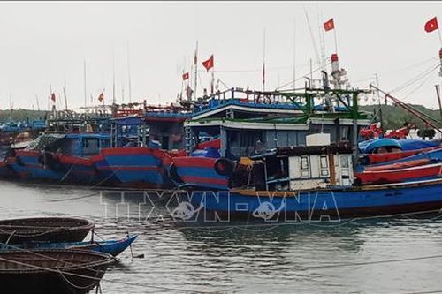 Sớm chấm dứt nuôi thủy sản trong khu neo đậu tàu cá