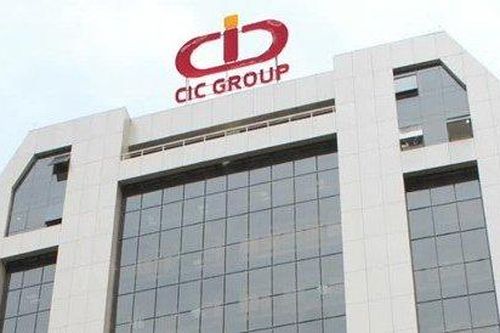 Cổ phiếu vào diện cảnh báo, lãnh đạo CIC Group đồng loạt thoái vốn