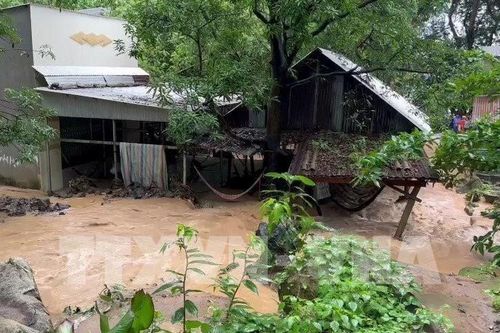 Hơn 30.000 ha lúa, hoa màu bị ngập lụt, úng