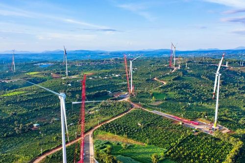 Điện gió Trung Nam Đắk Lắk 1 lỗ gần 400 tỷ trong nửa đầu năm 2023, liên tục chậm thanh toán 8 lô trái phiếu