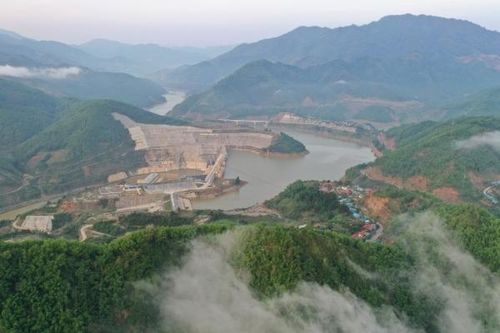 TSHPCo: Nâng cao hiệu quả trong quản lý và thực hiện công tác đấu thầu