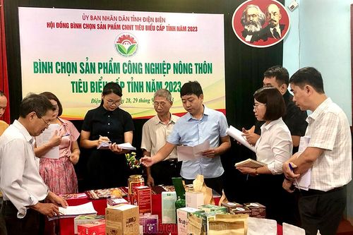 Bình chọn sản phẩm công nghiệp nông thôn tiêu biểu năm 2023