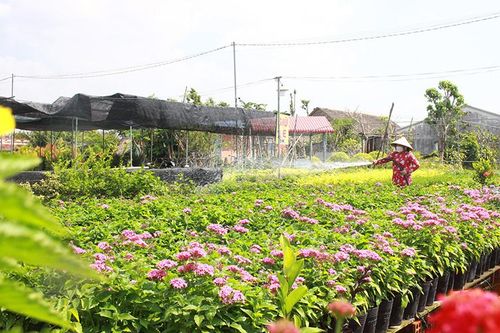 Phát huy giá trị văn hóa làng nghề gắn với phát triển du lịch