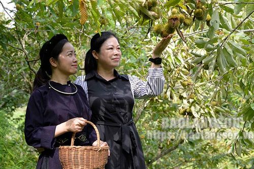 Phát triển du lịch xanh: Hướng đi nhiều triển vọng