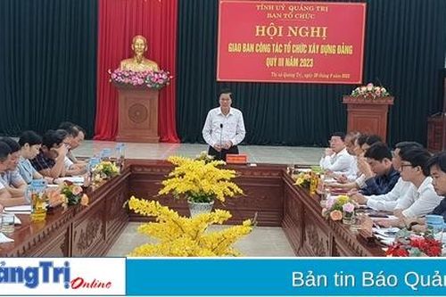 Triển khai nhiệm vụ công tác tổ chức xây dựng Đảng quý IV/2023