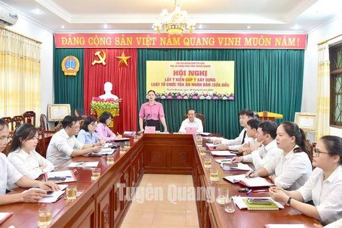 Hội nghị lấy ý kiến góp ý xây dựng Luật Tổ chức tòa án nhân dân (sửa đổi)