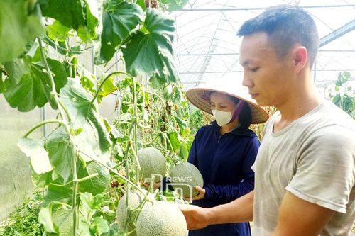 Phát triển nông nghiệp công nghệ cao theo hướng nào? (bài 3)