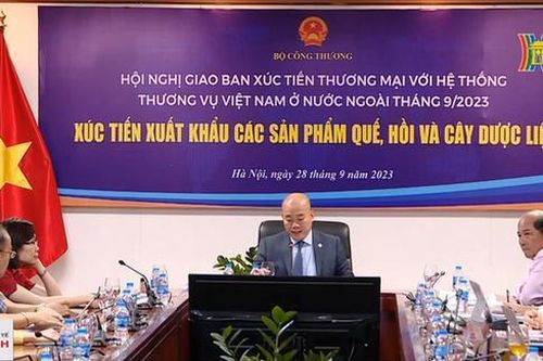 Dược liệu Việt Nam còn nhiều tiềm năng xuất khẩu