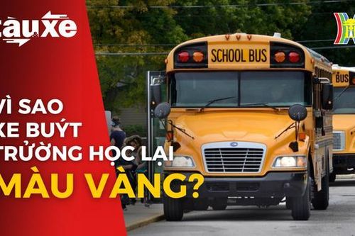 Quy định nghiêm ngặt với xe buýt trường học trên thế giới