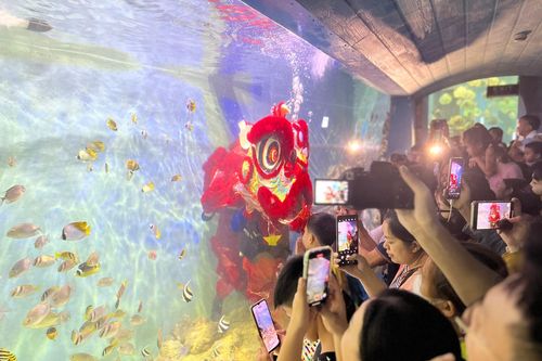 Độc đáo màn múa lân dưới nước ở Nha Trang