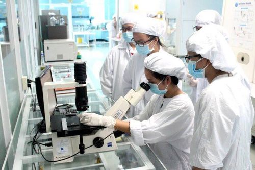 Quỹ Nafosted: 'Bệ đỡ' nghiên cứu khoa học công nghệ
