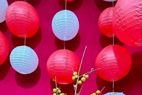 Cành quả lạ 'hút khách' mùa Trung thu