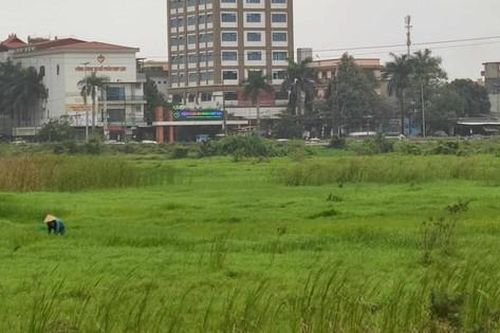 Vì sao bốn dự án lớn tại Thanh Hóa bị hủy kết quả lựa chọn nhà đầu tư?