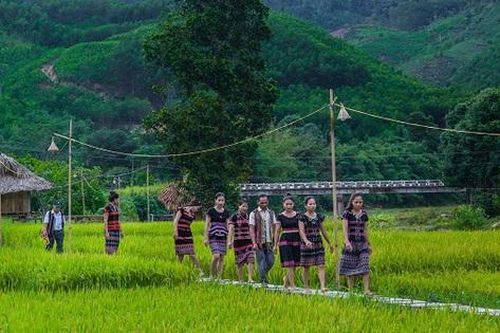 Huyện A Lưới – Thừa Thiên Huế: Mở rộng phát triển trồng cây dược liệu quý