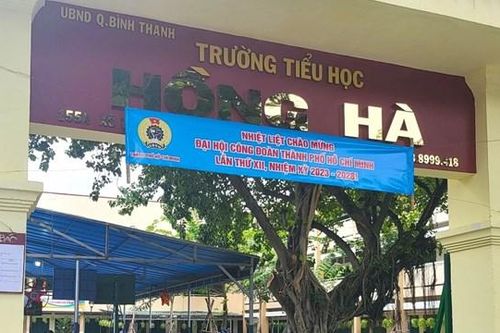 TPHCM phê bình Hiệu trưởng trường Tiểu học Hồng Hà do buông lỏng vụ thu quỹ
