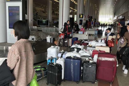 'Siết' kiểm soát nhân viên bốc xếp sân bay
