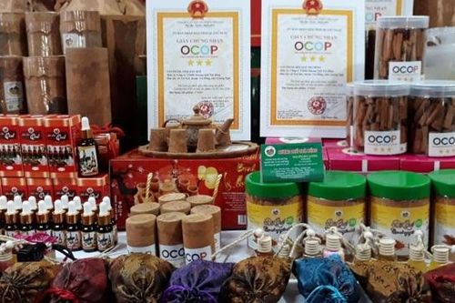 OCOP Quảng Ngãi: Nhiều sản phẩm nhưng 'khuyết' 5 sao