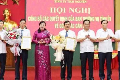Bổ nhiệm 2 Giám đốc Sở; điều động, chỉ định 2 Ủy viên Thường vụ Tỉnh ủy giữ chức vụ mới