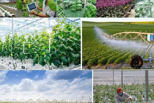 Phấn đấu 2030, 50% trang trại, HTX, doanh nghiệp nông, lâm, thủy sản tiếp cận công nghệ, quy trình sản xuất nông nghiệp tuần hoàn