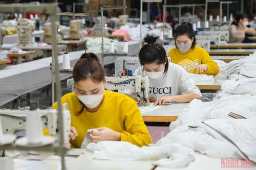 9 tháng, cả nước có hơn 116 nghìn doanh nghiệp đăng ký thành lập mới