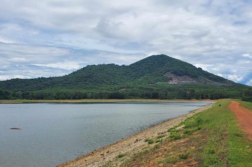 Bất cập quản lý rừng phòng hộ hồ thủy lợi Vạn Định