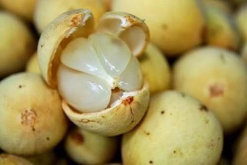 Trái bòn bon và trách nhiệm 'gác cửa'