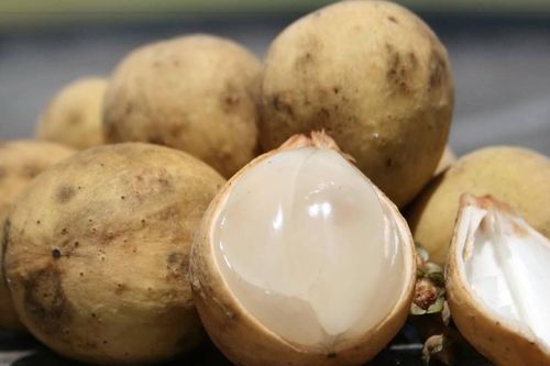 Bộ NN-PTNT nói gì sau vụ trái bòn bon bị 'tuýt còi'?