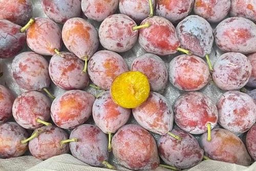 Sự thật bất ngờ về mận đường giá rẻ đang 'gây sốt' chợ mạng