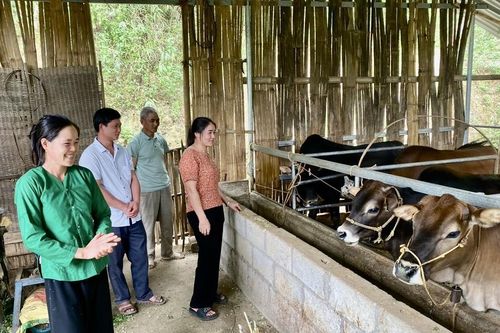 Đa dạng các hình thức hỗ trợ hộ nghèo