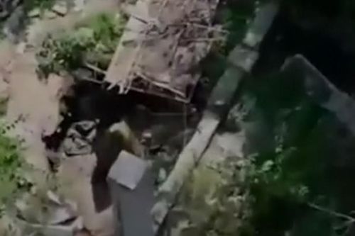 Clip loạt pháo nã vào đơn vị súng cối đang ẩn náu