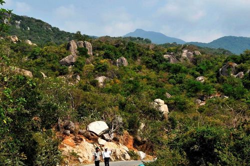Ninh Thuận nói gì về dự án 100 biệt thự trong Vườn Quốc gia Núi Chúa?