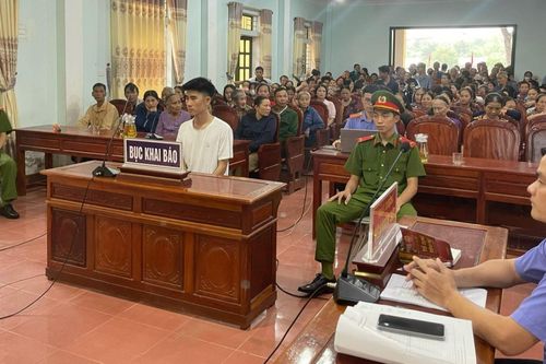 Phạt tù gã trai dùng xyanua hạ độc con bò của người tình
