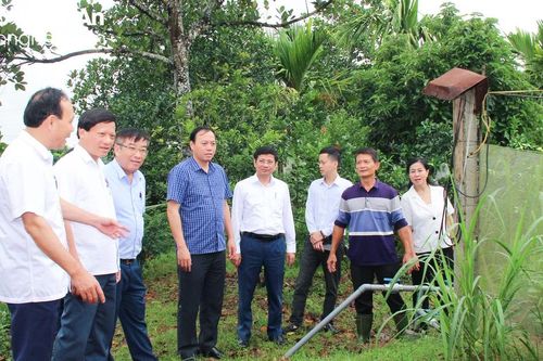 Rà soát, phối hợp giải quyết các vướng mắc trong thực hiện chính sách do HĐND tỉnh ban hành
