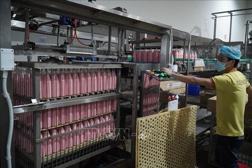 Đề xuất bãi bỏ quy định không phù hợp về đầu tư, kinh doanh