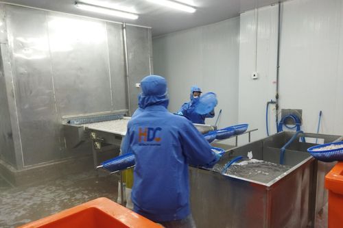Doanh nghiệp kỳ vọng xu hướng kinh doanh tốt lên