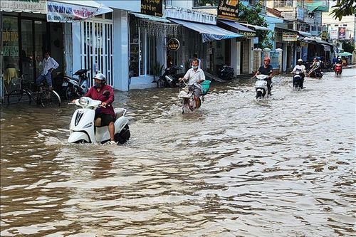 Vĩnh Long chủ động ứng phó triều cường vượt mức báo động 3